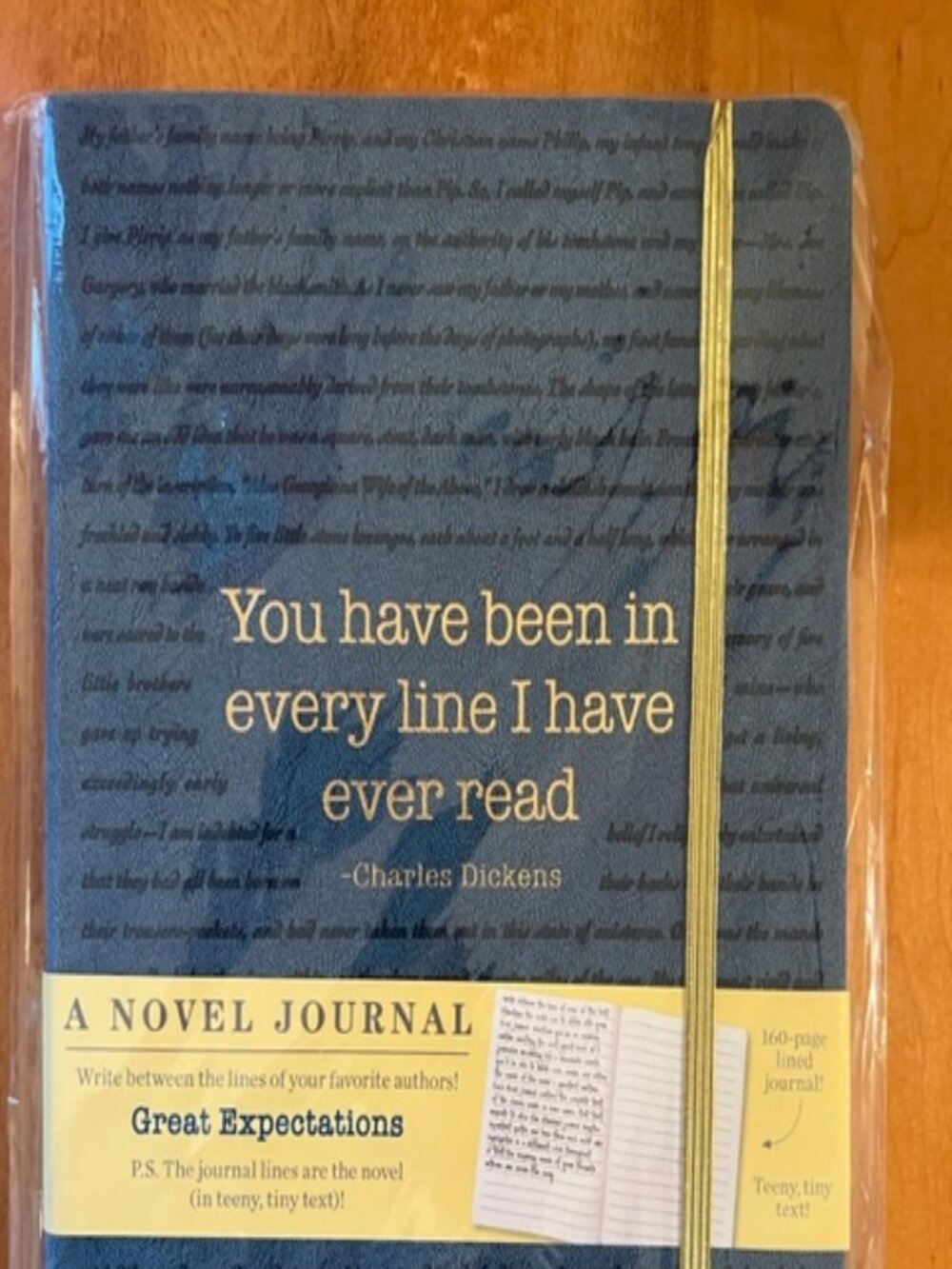 Unique Great Expectations Journal - High quality paper and leathery Cover - NWT